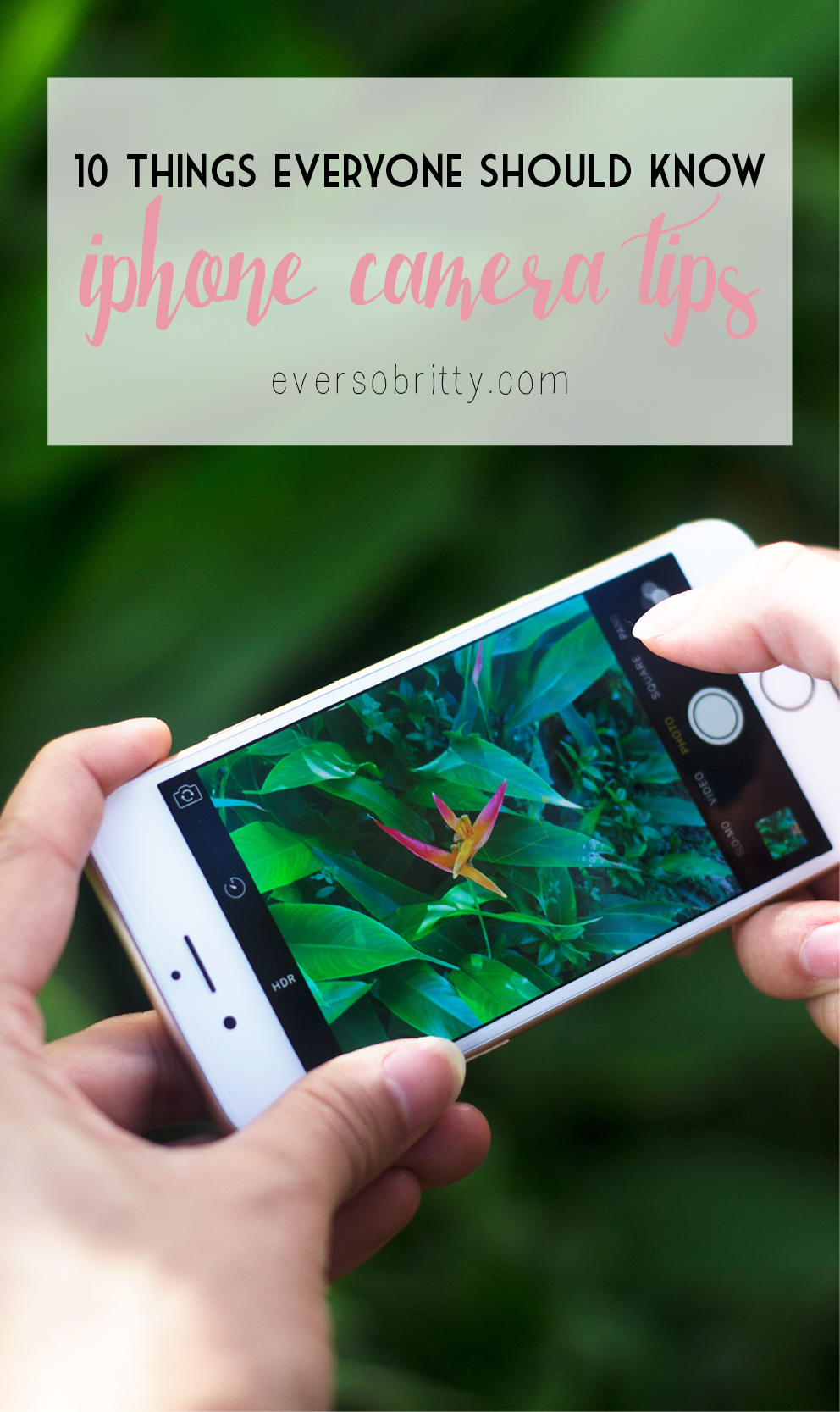 10 IPhone Camera Tips That Everyone Should Know + Favourite Apps - Ever ...